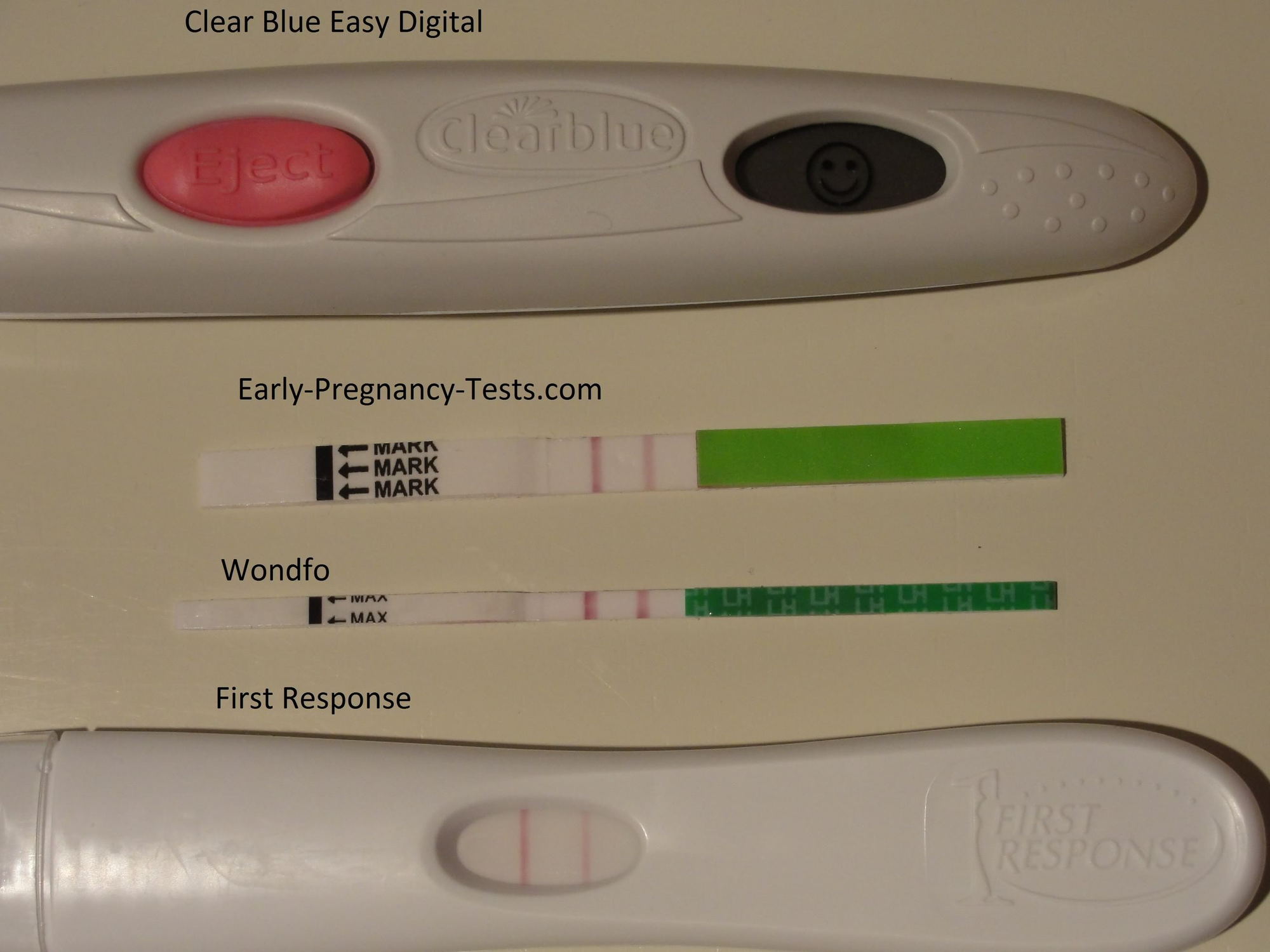 one-of-a-kind pregnancy assessments