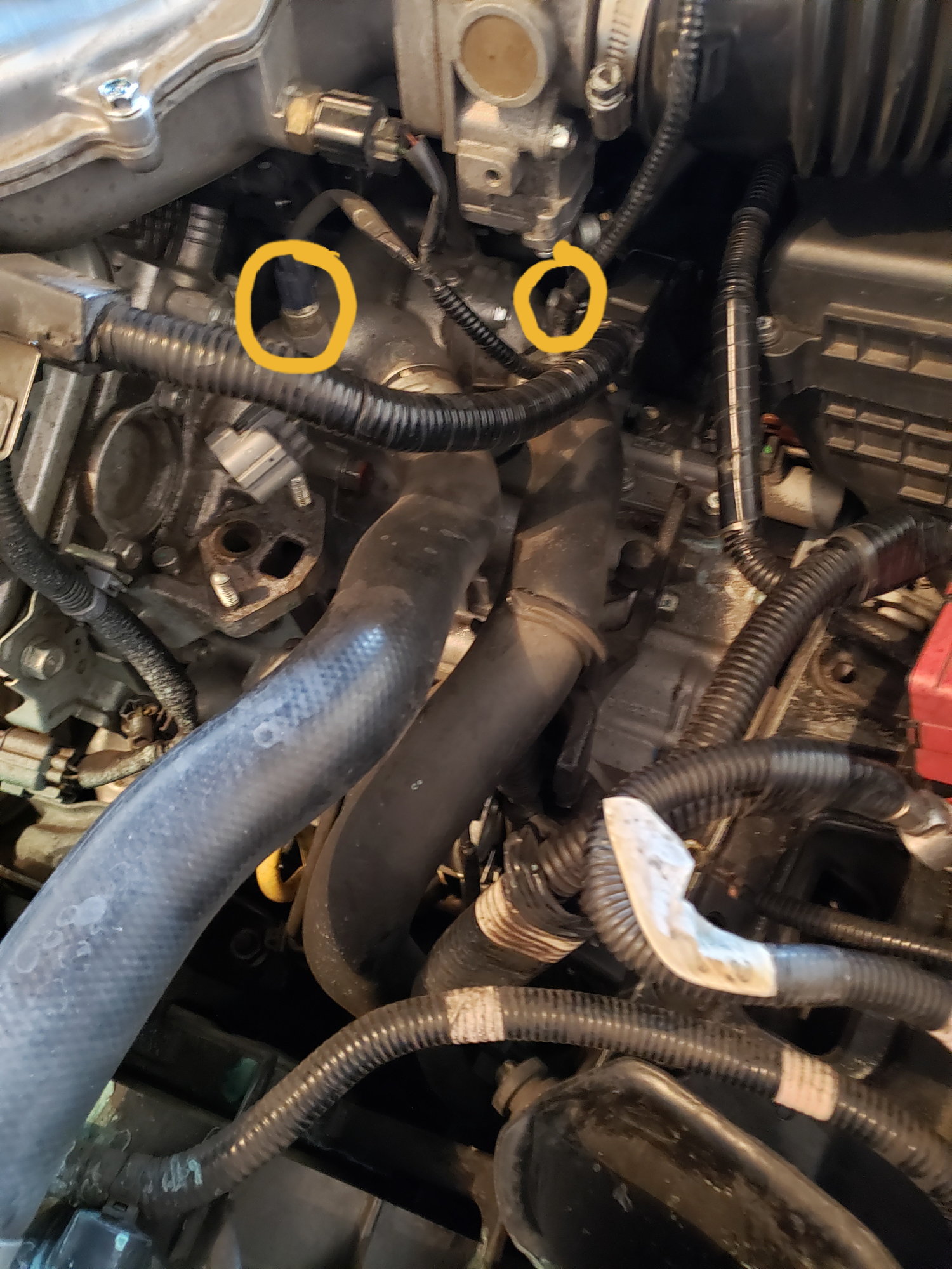 2005 acura tl bank 2 sensor 1