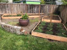 Almost finished with the raised beds