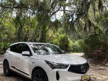 Untitled Album 2024-11-25 17:30:46