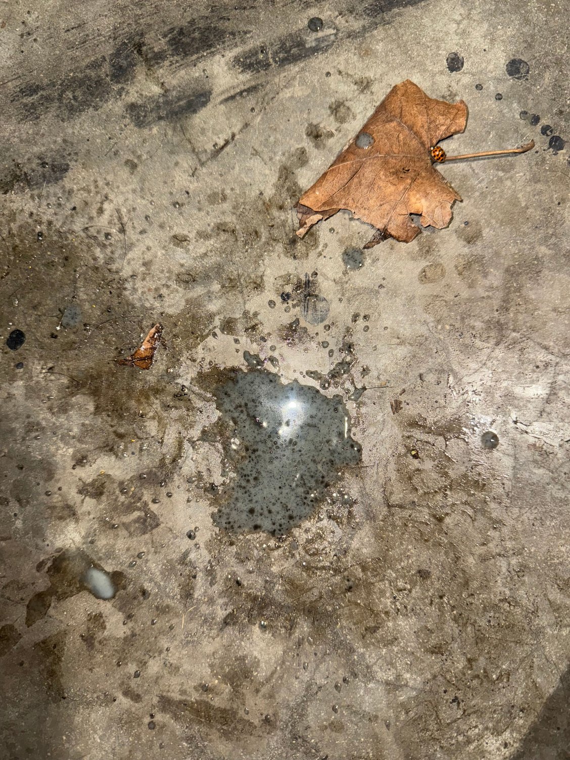 This is what i dumped out of waterpump