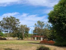 Standing at the back of the cleared part of the land.