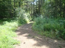 Nice Trail
