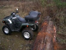 A nice new King Quad! That log was an easy hop for the big guy.                                                                                                                                         