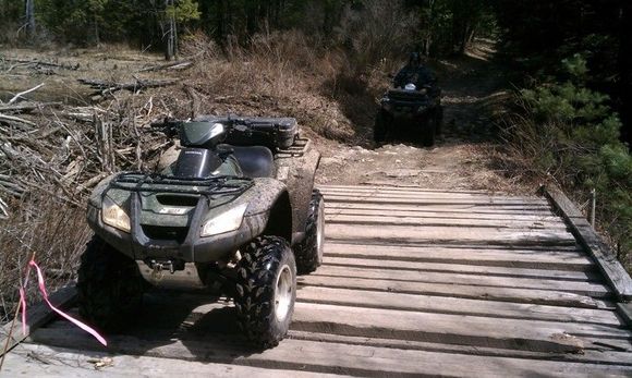 Crossing a bridge near the beaver dam