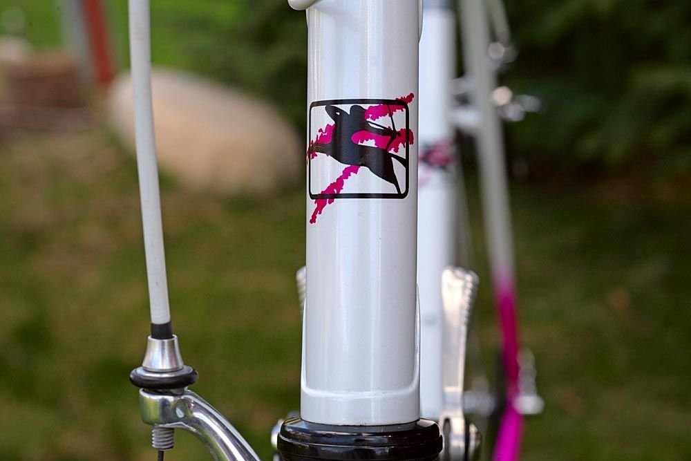 Giordana Antares (custom color, stock design, to match bike) by Velocals