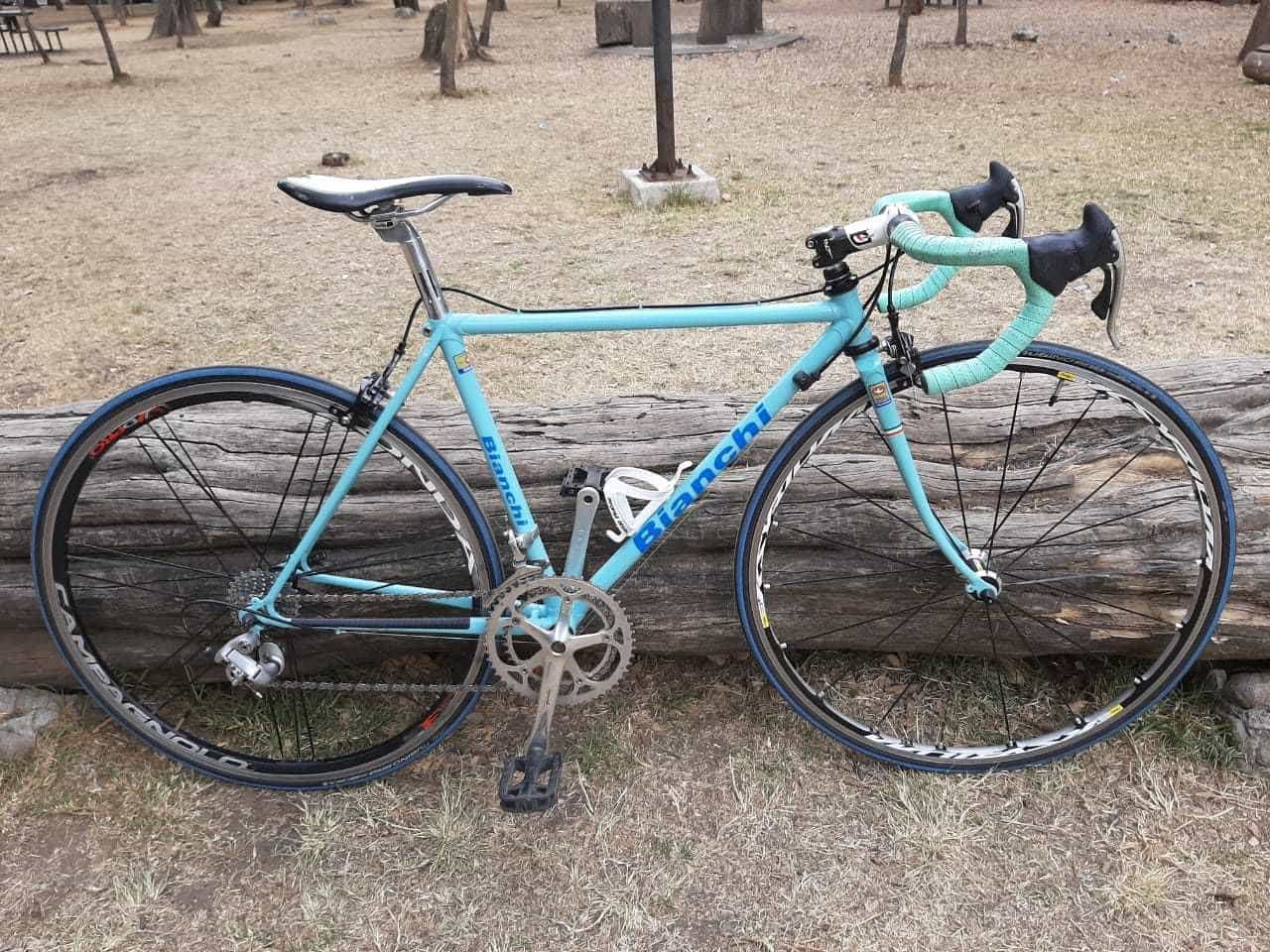 bianchi serial number lookup
