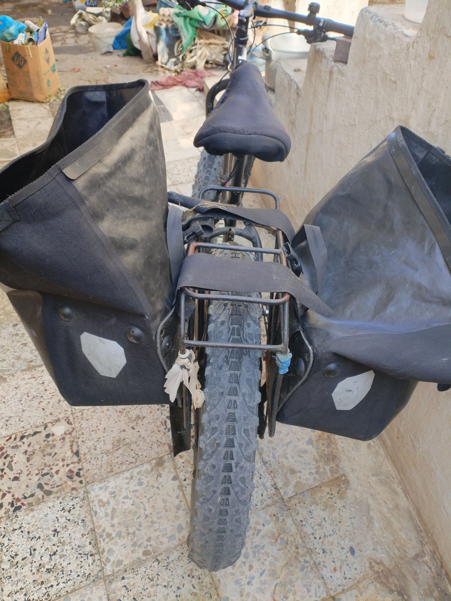 two Ortilieb bags on bike