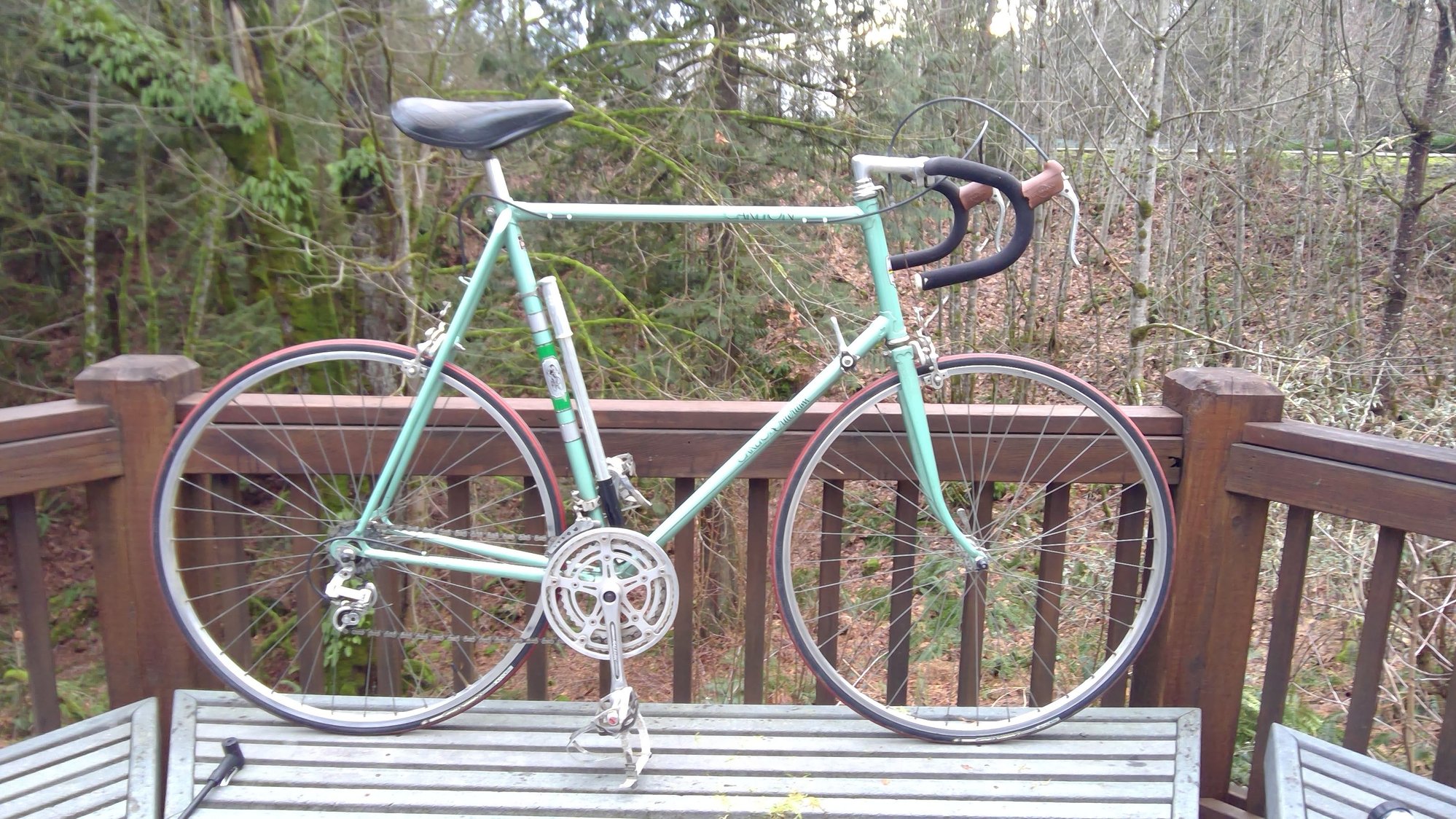 Evaluation request 1979 Carlton Criterium 63x57 Bike Forums