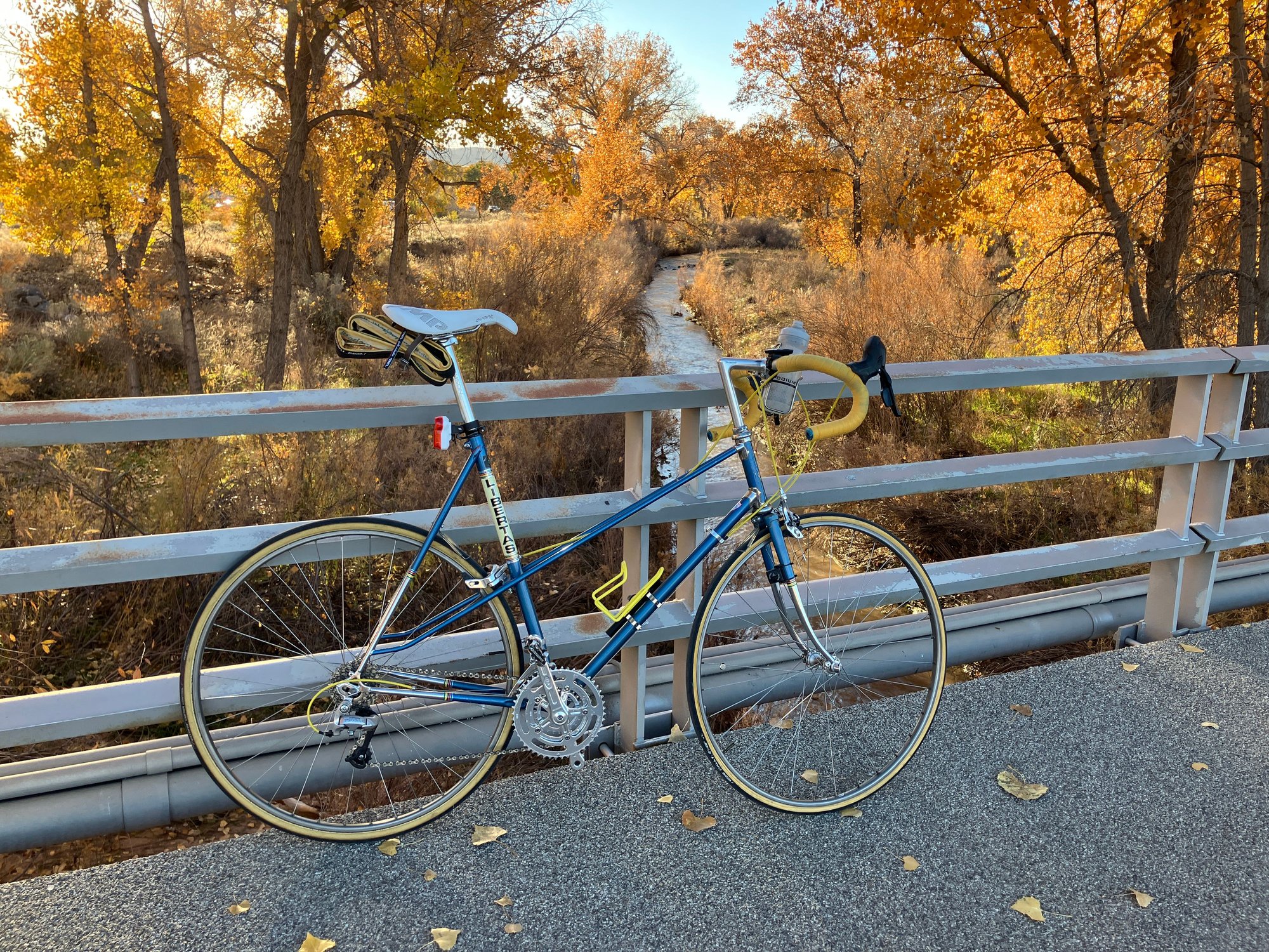 Blue Bella