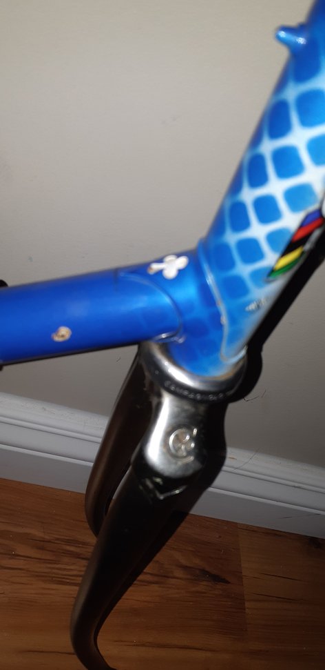 colnago uk distributor