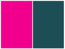 These are the main two colors on my bike build they are hot pink and deep turquoise and I'm going to have accents of white to make everything pop.