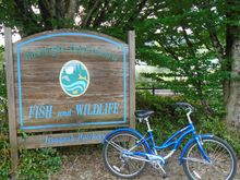 Examples of bikes I (seldom) ride on the roads.