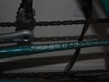 Mostly just some wear from chain slap. 