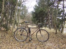 A lot of leaves on the dirt trails at least there dry and not wet.