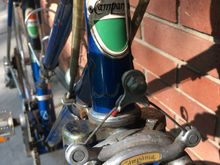Flashy head badge