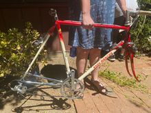 57 cm Merckx w/Dura-Ace mostly
