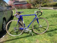 Painted Gios blue. I did not like any of the stock Paramount colors and wanted something that helped the decals pop.