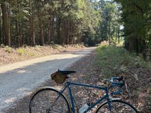 The required glamour photo, this time utilizing the perfect bike stand as encountered in nature