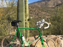 My favorite ride, around Cactus Forest Loop Drive in Saguaro National Park