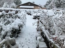 Winter came early to NM in 2024
