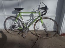 Mercier 300 as found in the wild