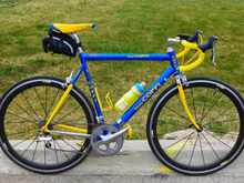 Almost ashamed of riding this one so slow today.  It's like going out on a Thoroughbred yet keeping 'em reined in.  