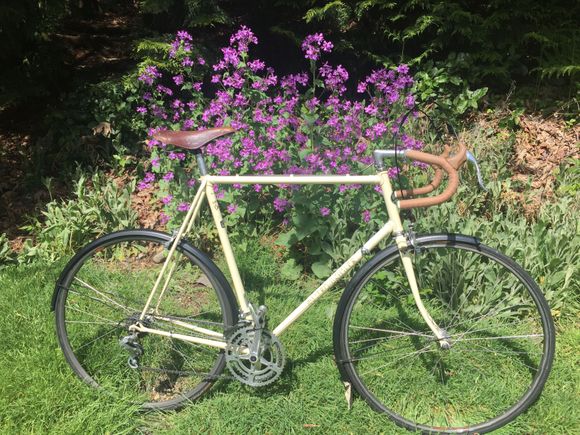 Why I adjusted the saddle to have this much tilt, I couldn’t understand - at least for the unpadded around the block ride today!