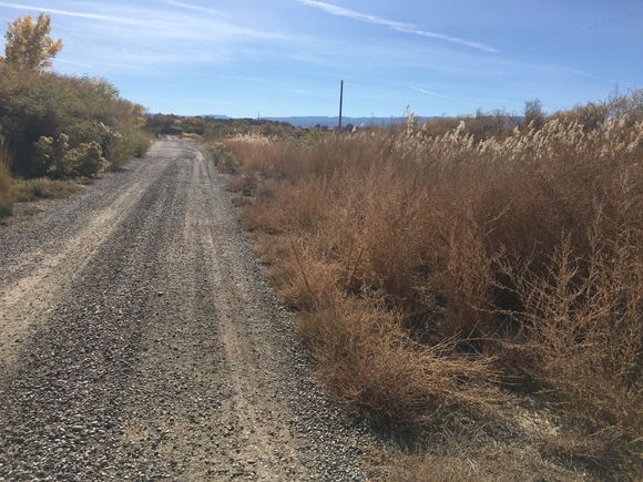Not new to 100% gravel rides, just inexperienced lately. Miyata is a tad smaller than my GFisher at Seattleish home, both made in Taiwan in 1991. 