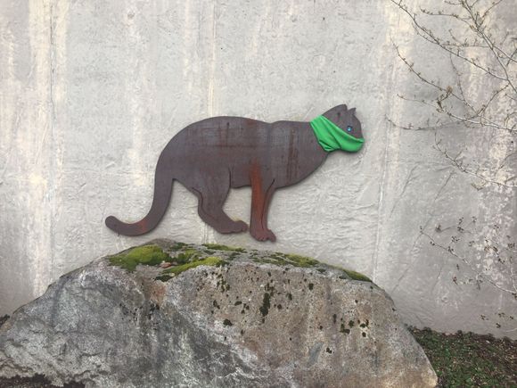 The cougar road art reminded me Lakemont climbs a ridgeline of Cougar Mt.