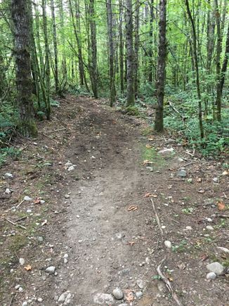 I discovered hiking/horse/biking trail - not today!