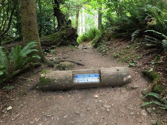 Lots of trail choices