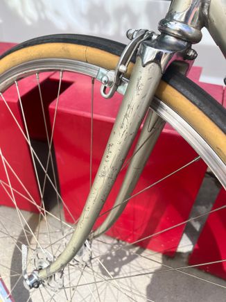 At least the chrome fork crown is nice!