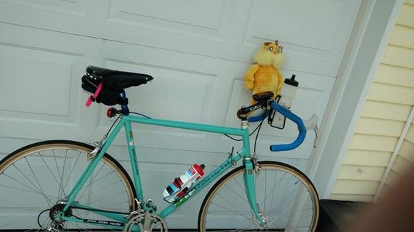 The MAX tubed Proto was only offered in ‘90/91 and only as a Dura Ace equipped bike for ‘90.  Even with employee discount, I could barely afford the frame, thanks to a trade in on a broken SL frame.  Cost being an issue I initially built it with a mix of new and used Chorus.  