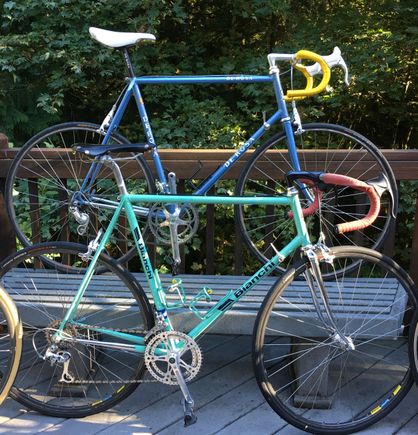 Italians