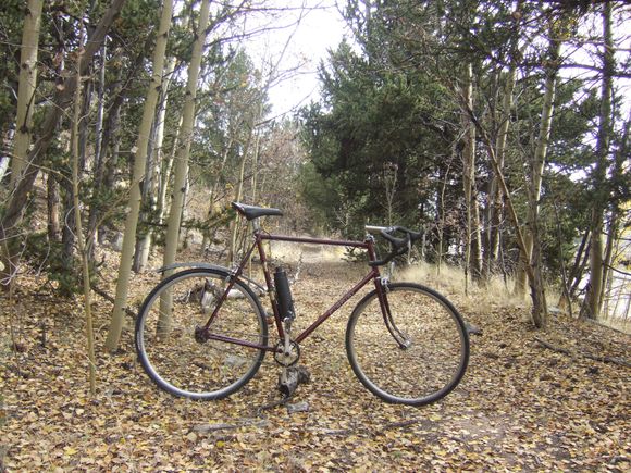 A lot of leaves on the dirt trails at least there dry and not wet.