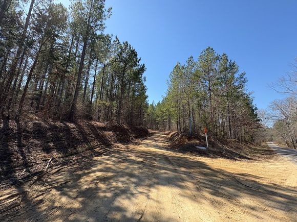 The exit of Mill Pond, where it gets sandy