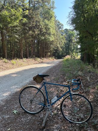 The required glamour photo, this time utilizing the perfect bike stand as encountered in nature