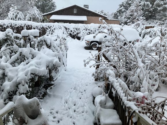 Winter came early to NM in 2024