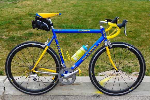Almost ashamed of riding this one so slow today.  It's like going out on a Thoroughbred yet keeping 'em reined in.  