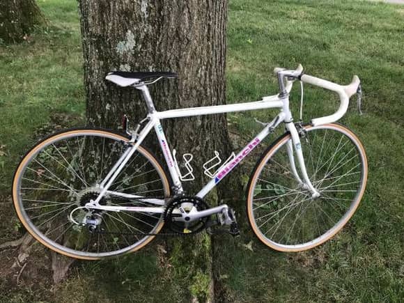 Very clean, maybe never used, small Bianchi Volpe in Columbus OH, $225  https://columbus.craigslist.org/bik/d/barn-find-time-capsule-54cm/6660896752.html