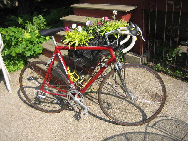 schwinn 434 aluminum road bike