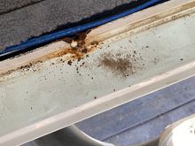 Found some rust in a couple of the usual spots