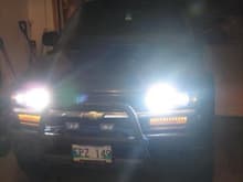 Hid 9005's
