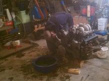 new engine getting it ready.