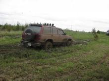 4329 190205035496 568950496 6988398 5003361 n