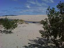 Walk in the dunes