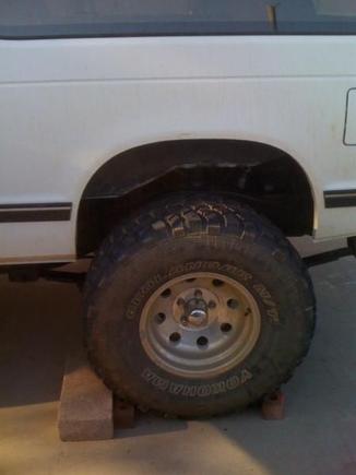 Picture 010