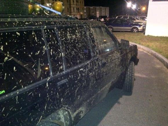 muddin
