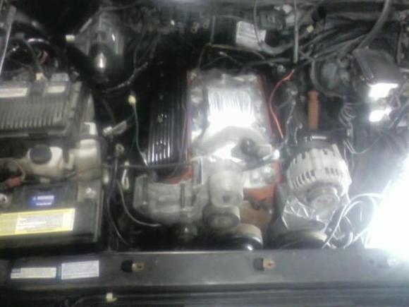 5.0 sitting in engine bay